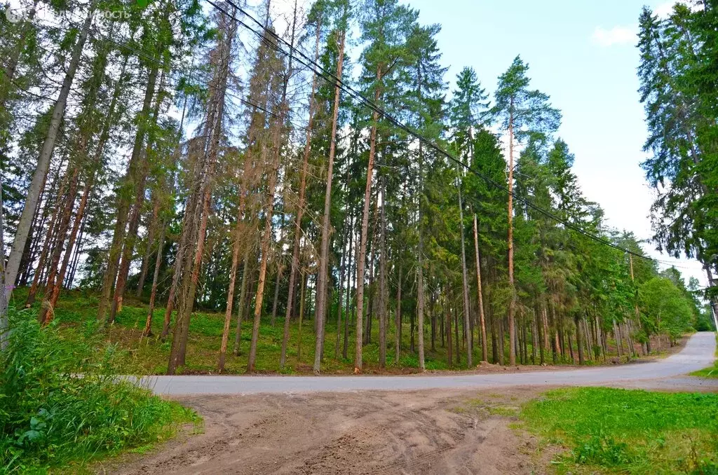 Участок в городской посёлок Рощино, Заречная улица (15.76 м) - Фото 1