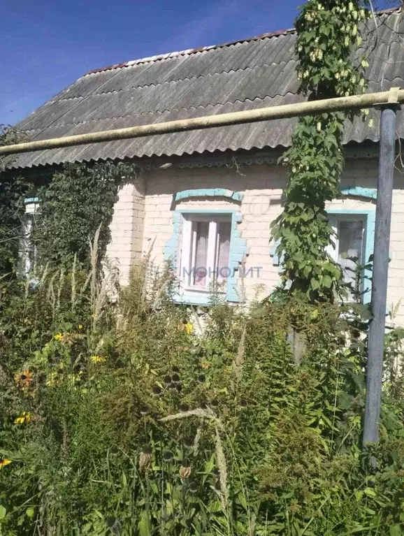 Дом в Нижегородская область, Бор городской округ, д. Большое Содомово  ... - Фото 1