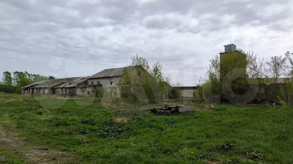 Агрокомплекс Склад Земел.участок 7 Га - Фото 0