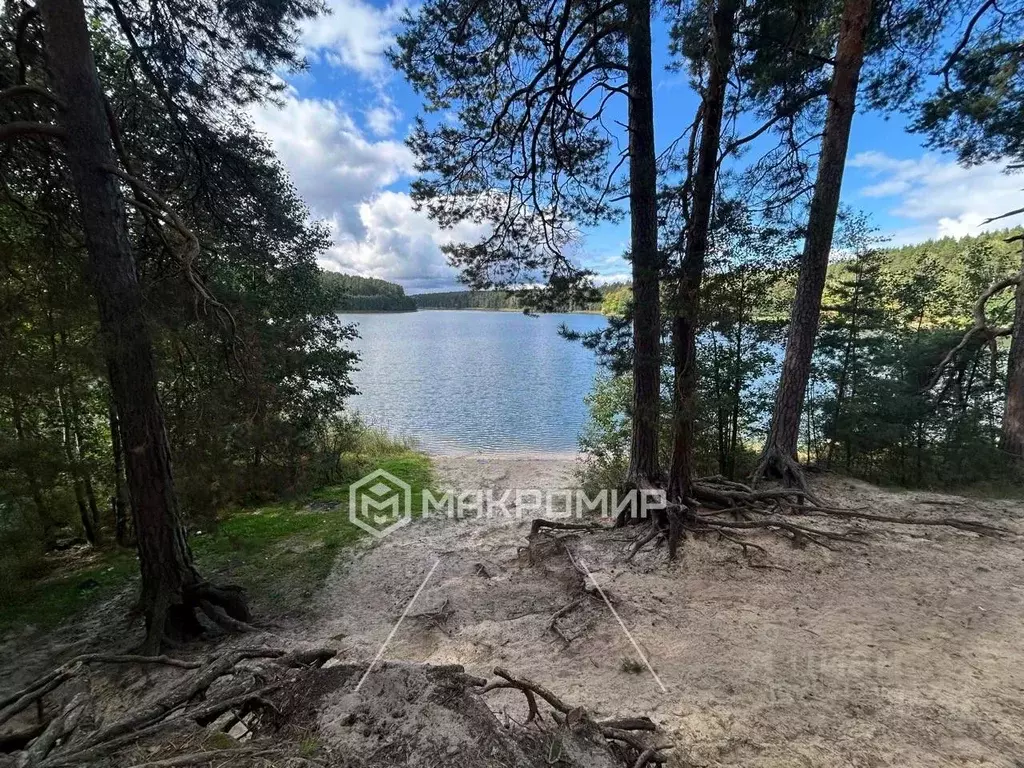Дом в Марий Эл, Волжский район, Эмековское с/пос, с. Алексеевское  ... - Фото 1