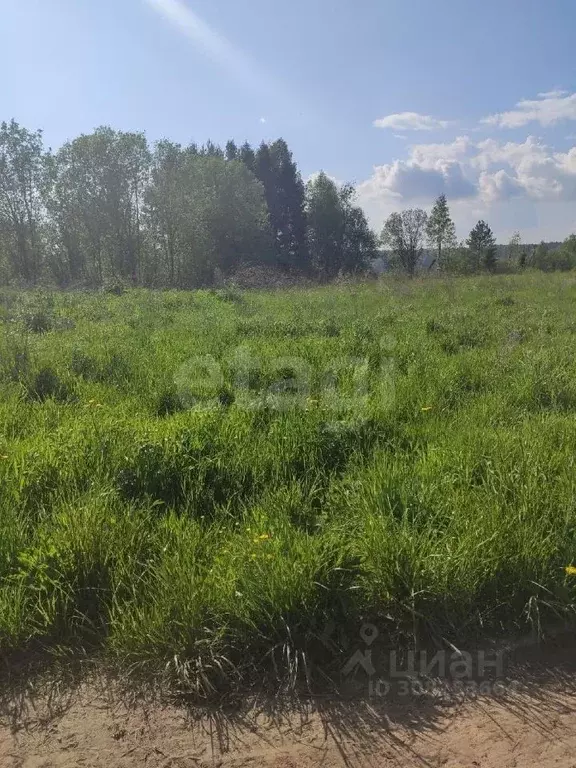 Участок в Вологодская область, д. Евлашево  (12.0 сот.) - Фото 0