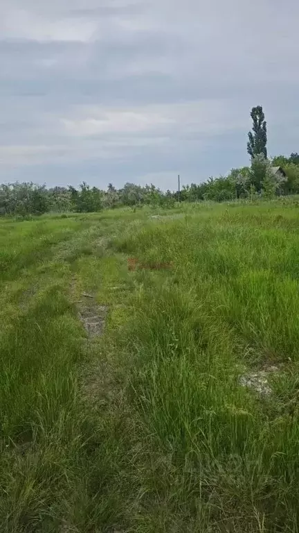 Участок в Ростовская область, Азовский район, Елизаветинское с/пос, ... - Фото 1