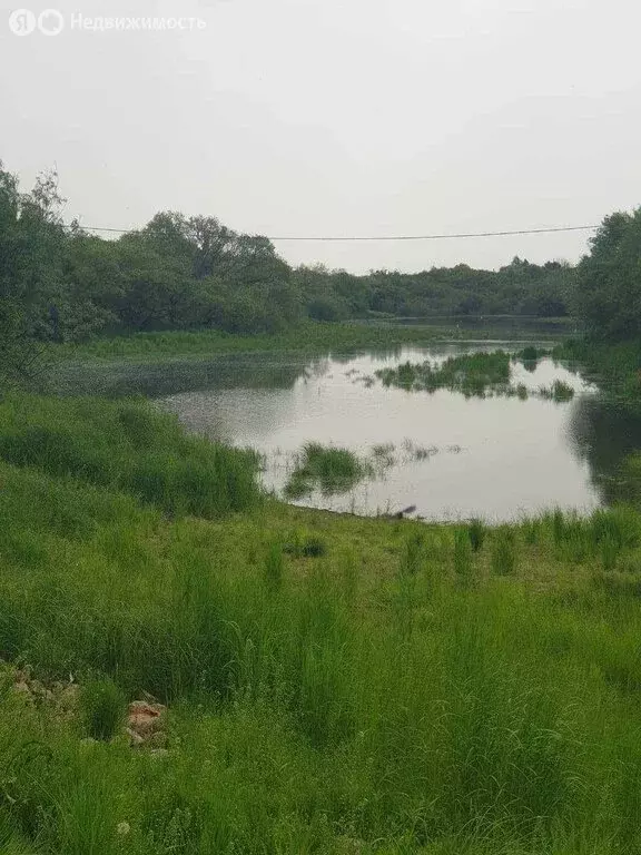 Дом в Смидовичский район, СНТ Нефтяник - 2 (30 м) - Фото 0