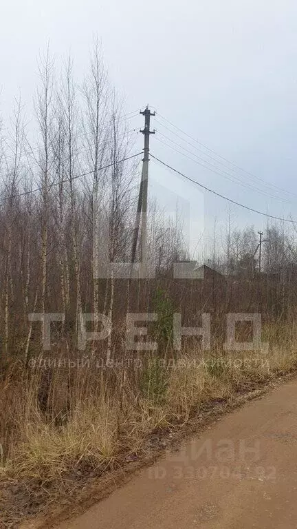 Участок в Ленинградская область, Сосновый Бор Ветер СНТ, ул. ... - Фото 1