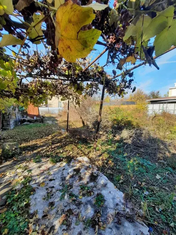 Участок в Ростовская область, Мясниковский район, Чалтырское с/пос, ... - Фото 1