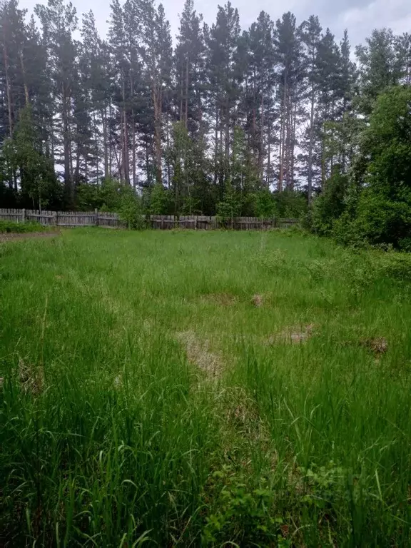 Помещение свободного назначения в Красноярский край, Шушенский ... - Фото 1
