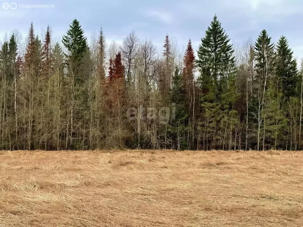 Участок в Пермский муниципальный округ, деревня Софроны (10.7 м) - Фото 1