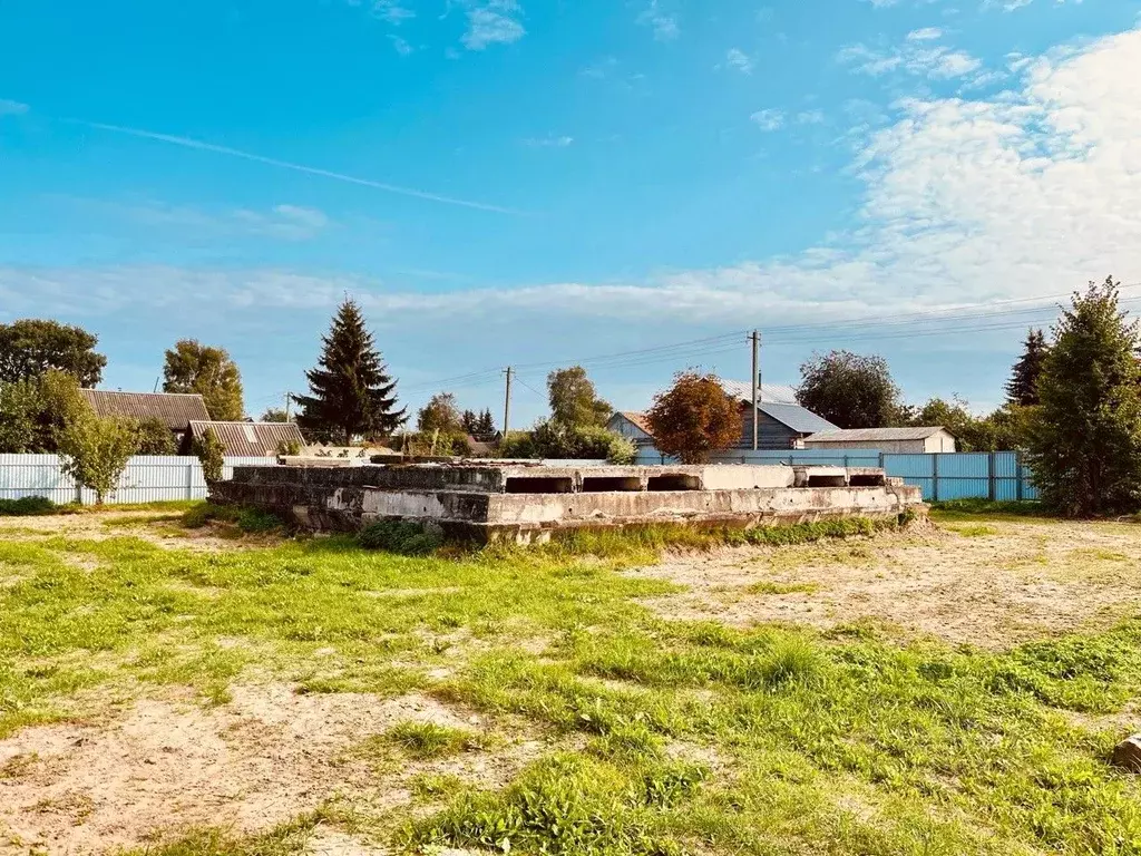 Участок в Новгородская область, Новгородский район, Борковское с/пос, ... - Фото 1