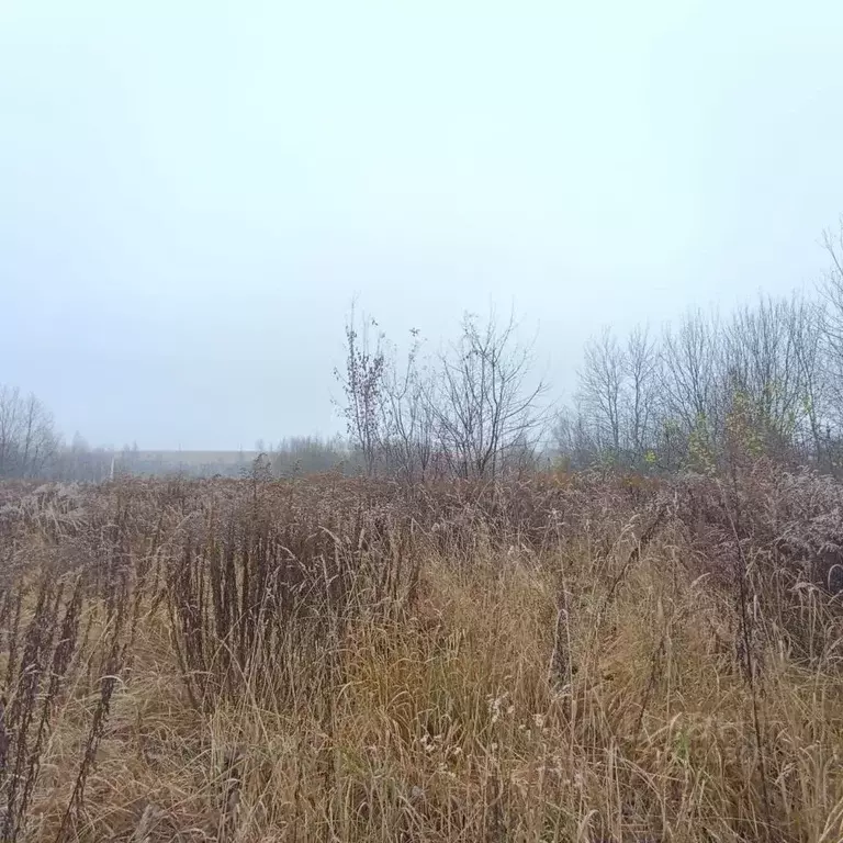 Участок в Брянская область, Брянский район, Добрунское с/пос, д. ... - Фото 1