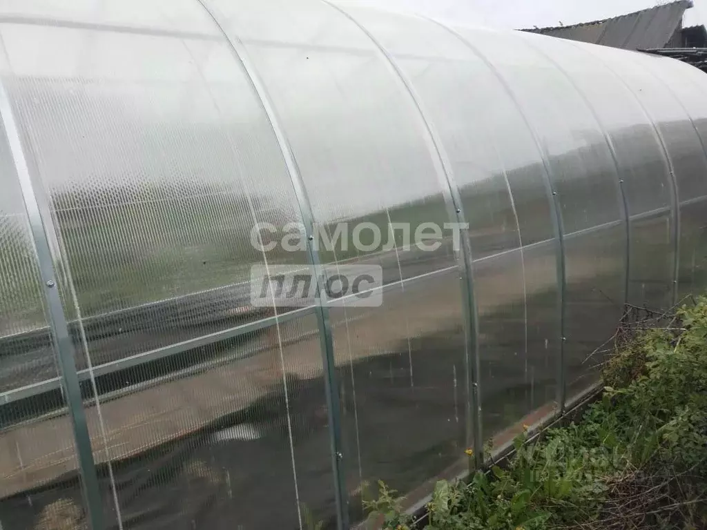 Участок в Пензенская область, Бессоновский район, с. Грабово ... - Фото 2