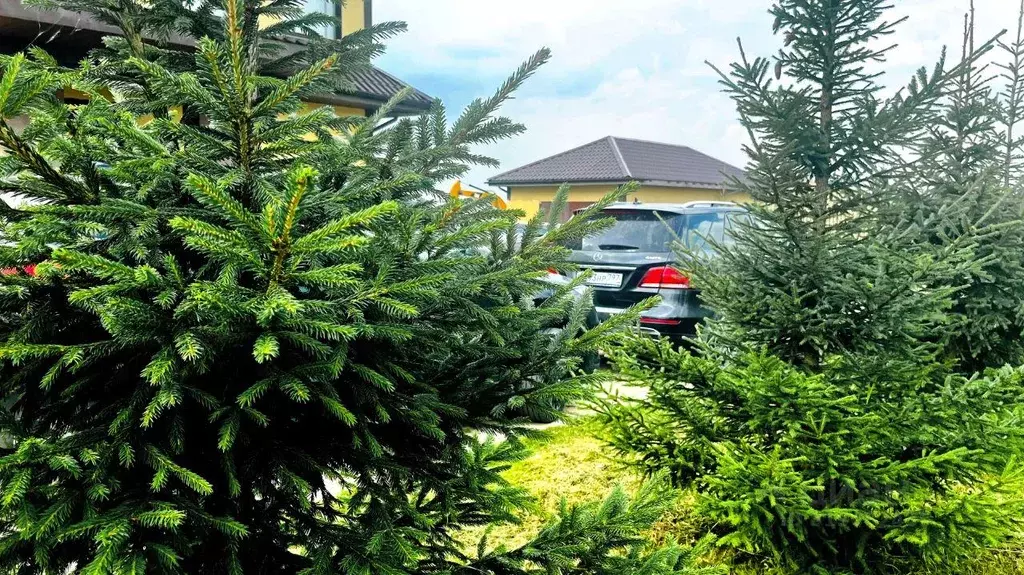 Участок, 6 сот., поселения (ижс) - Фото 1