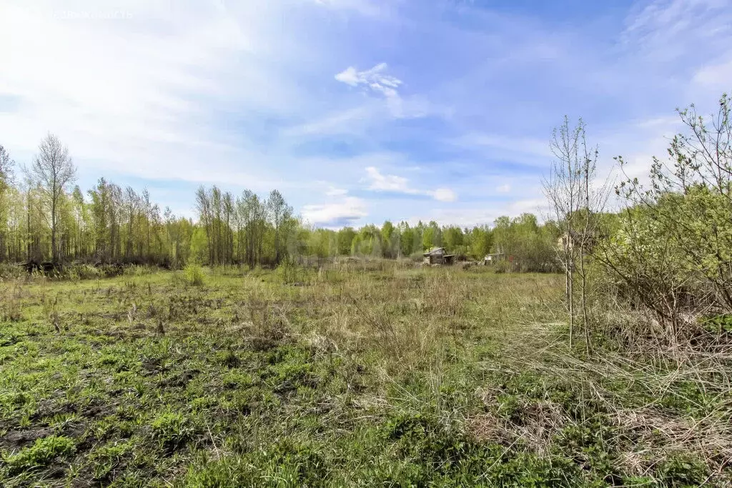 Участок в Тюмень, ДНТСН Зелёный Бор, Центральная улица (7.7 м) - Фото 1