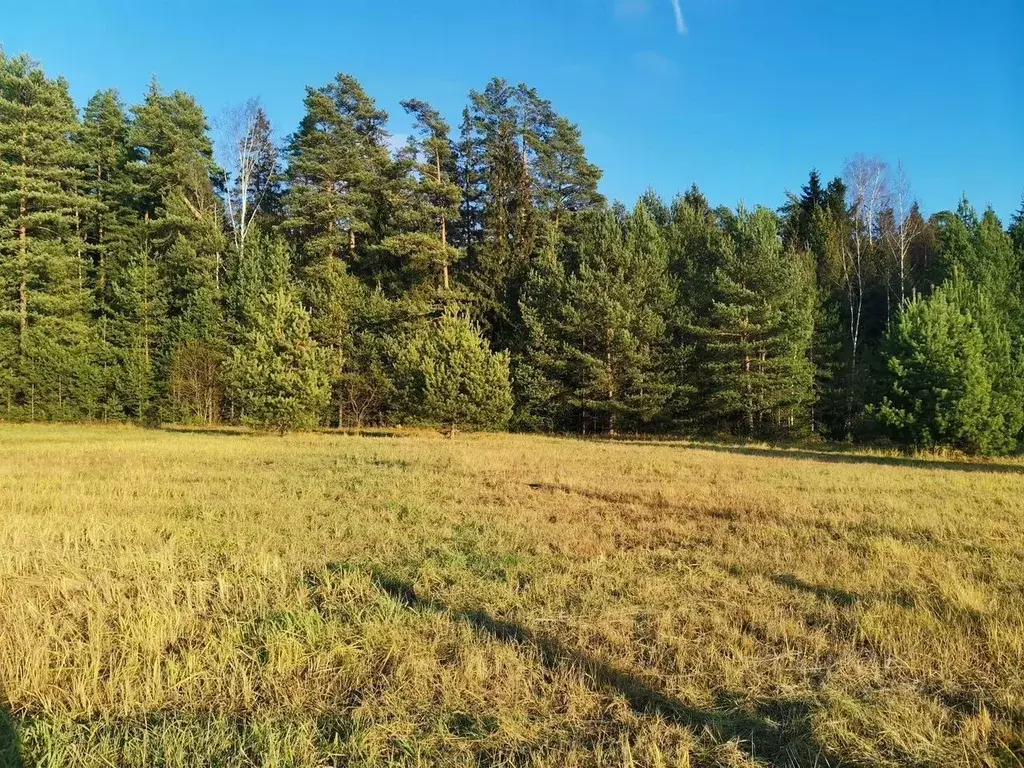 Участок в Московская область, Черноголовка городской округ, с. ... - Фото 2