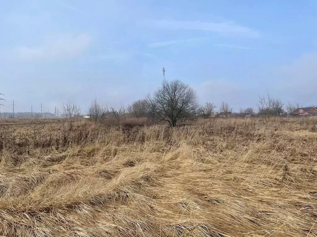 Участок в Московская область, Воскресенск городской округ, с. Ачкасово ... - Фото 0