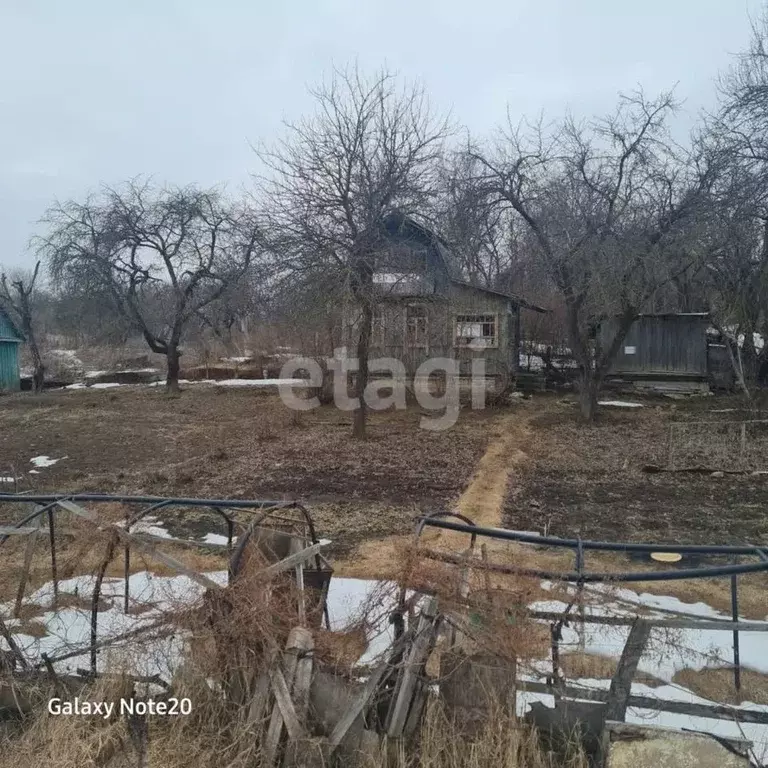 Участок в Брянская область, Брянск Рассвет-2 садовое общество,  (3.7 ... - Фото 0