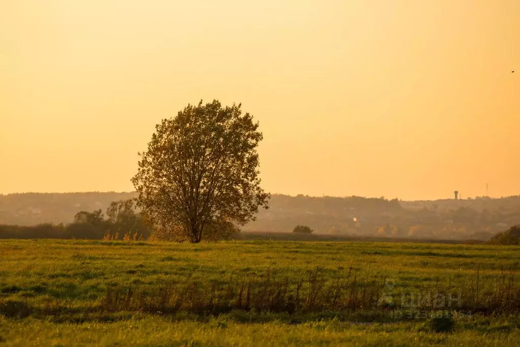 Участок в Ленинградская область, Ломоносовский район, Ропшинское ... - Фото 2