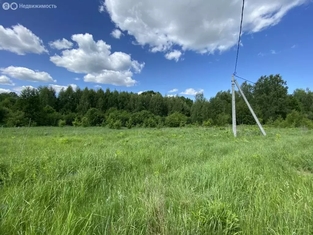 Участок в Нижегородская область, Балахнинский муниципальный округ, ... - Фото 1