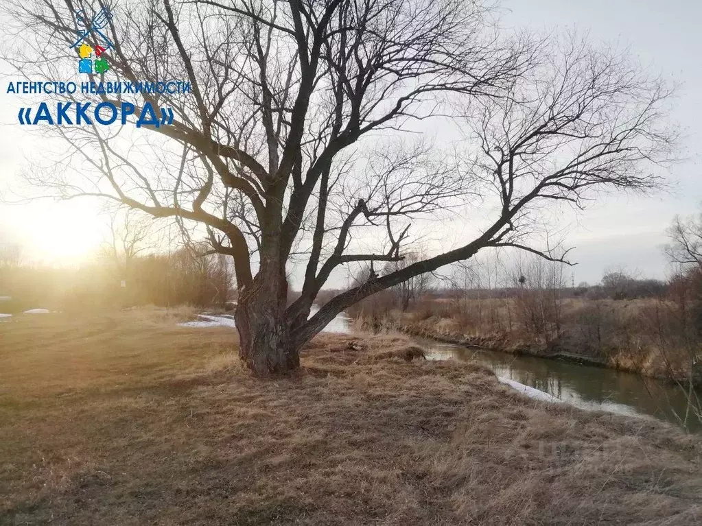 Участок в Алтайский край, Первомайский район, с. Фирсово  (10.0 сот.) - Фото 2