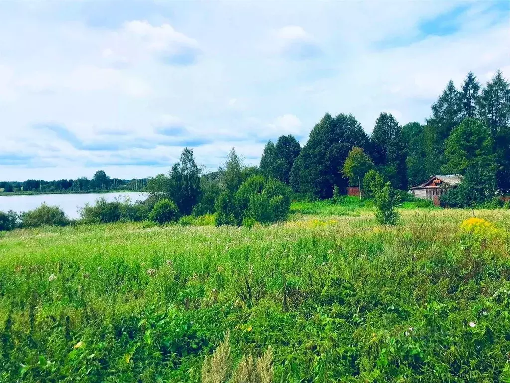 Участок в Ленинградская область, Лужский район, Дзержинское с/пос, д. ... - Фото 2