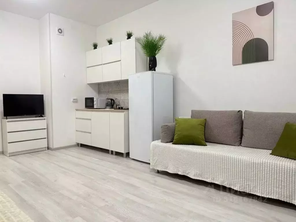 Студия Санкт-Петербург ул. Ультрамариновая, 4 (25.0 м) - Фото 1