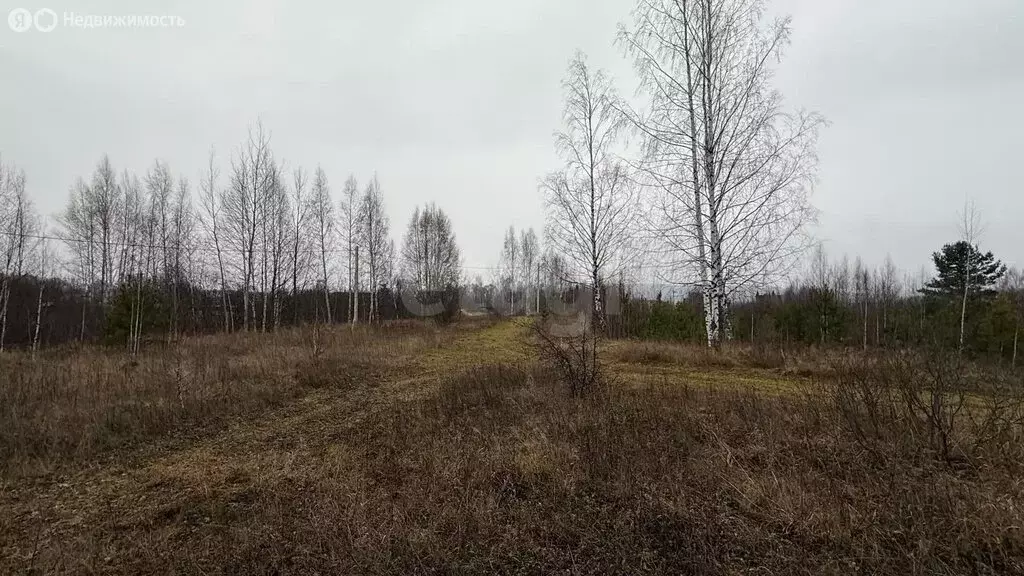 Участок в Кокшайское сельское поселение, территория СНТ Ермак (10 м) - Фото 2