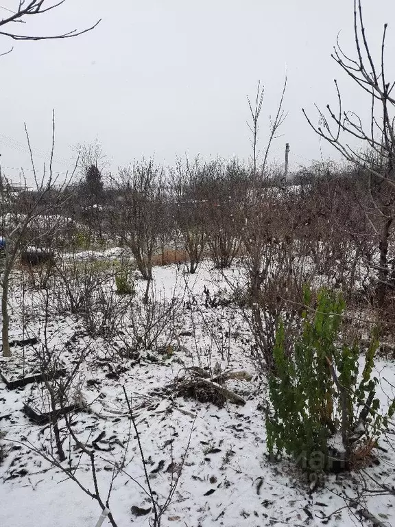 Дом в Московская область, Раменский городской округ, д. Верея  (90 м) - Фото 0