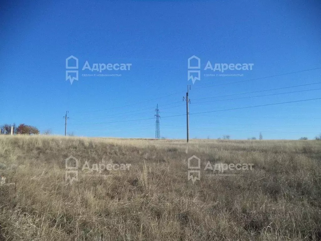 Участок в Волгоградская область, Городищенский район, Царицынское ... - Фото 1