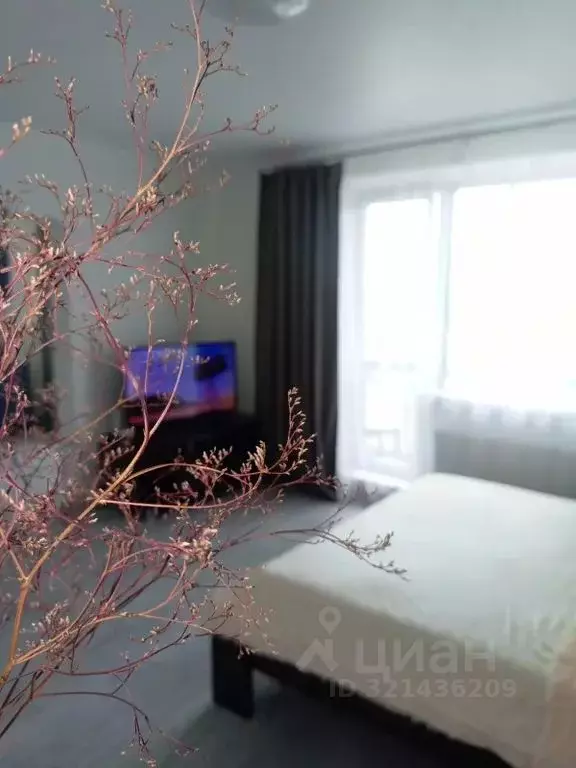 1-к кв. Челябинская область, Челябинский городской округ, пос. ... - Фото 1