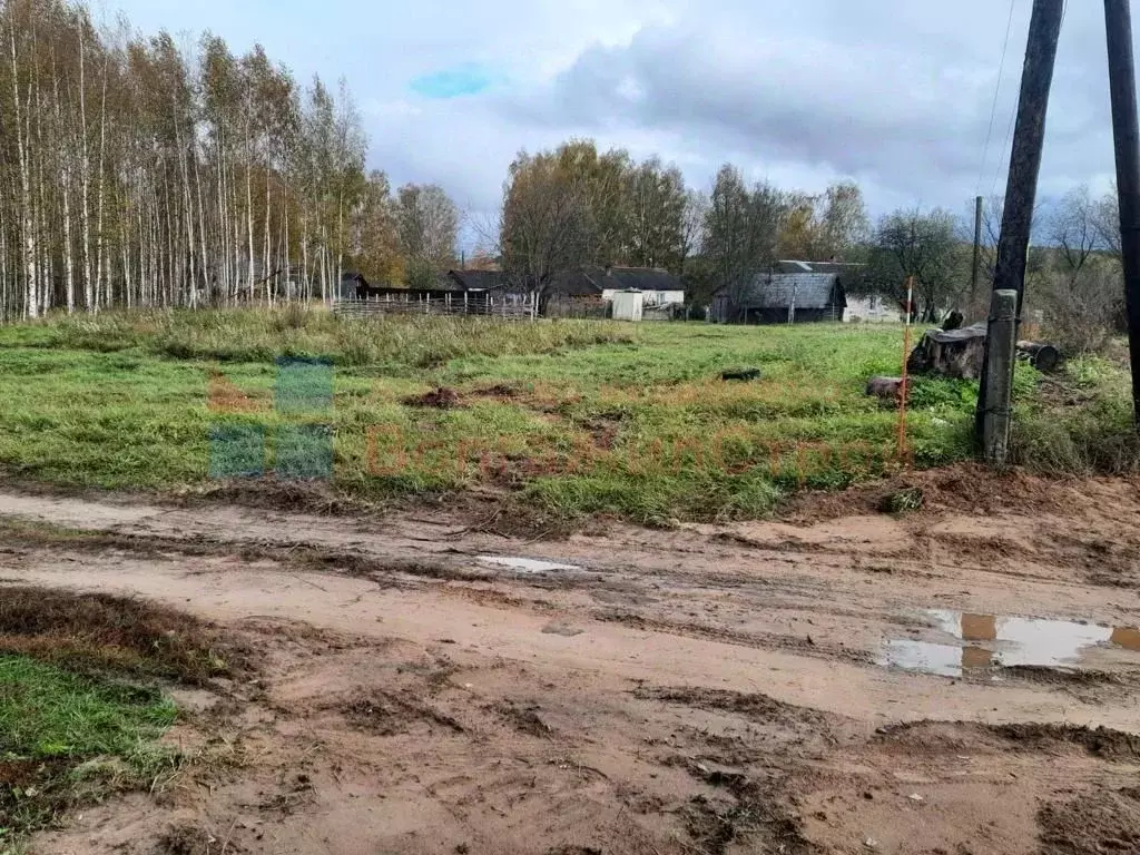 Участок в Нижегородская область, Сокольский городской округ, д. ... - Фото 1