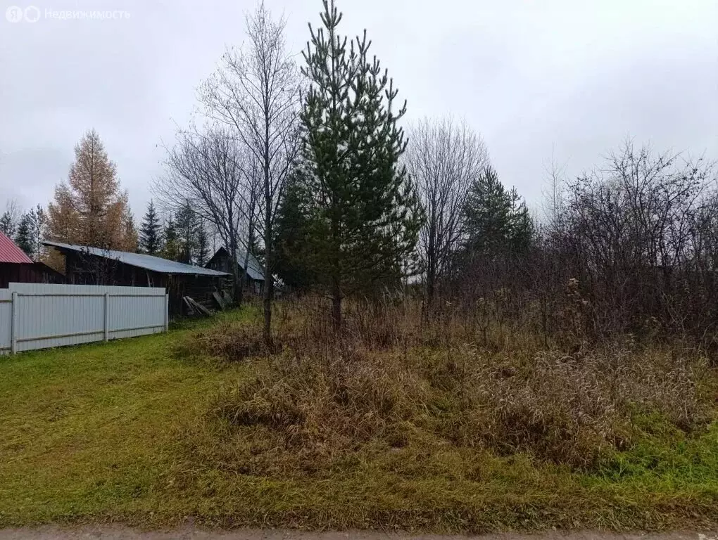 Участок в Кирово-Чепецкий муниципальный район, Пасеговское сельское ... - Фото 2