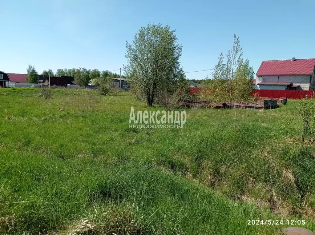 Участок в Ленинградская область, Приозерский район, Ромашкинское ... - Фото 1