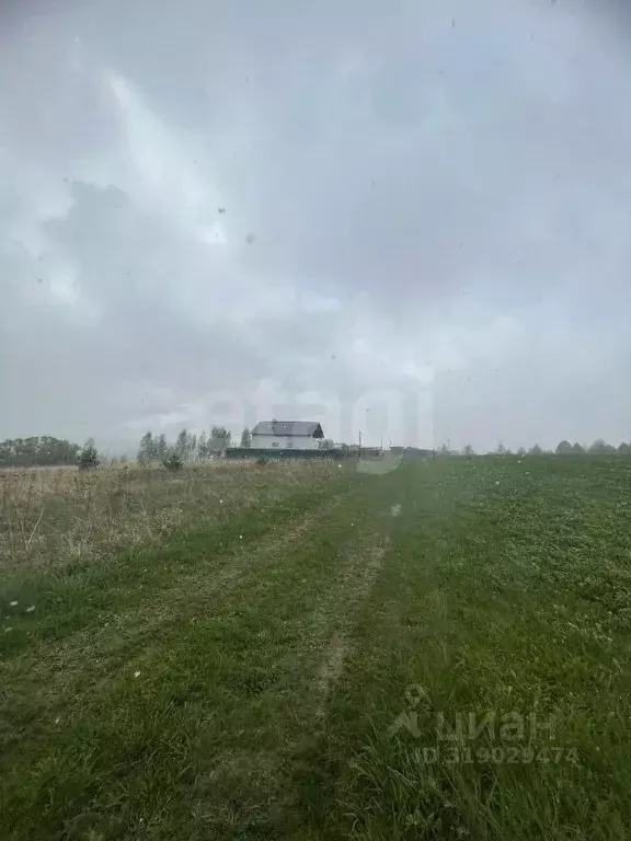 Участок в Калужская область, Козельский район, Нижние Прыски с/пос, д. ... - Фото 2