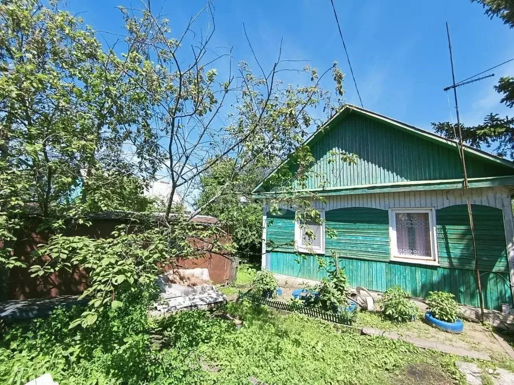 Дом в Амурская область, Белогорск Мирная ул., 28 (44 м) - Фото 1