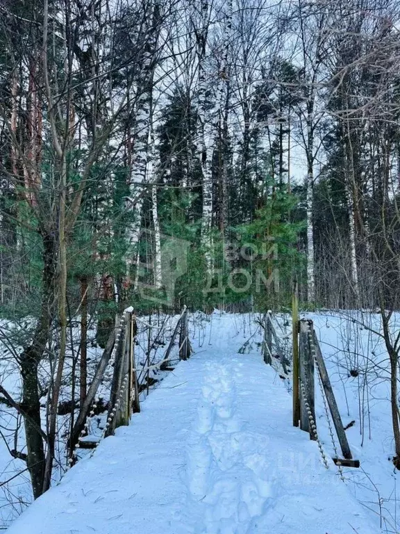 Участок в Ленинградская область, Ломоносовский район, Горбунковское ... - Фото 0