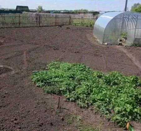 Участок, 4.4 сот., 0 - Фото 1