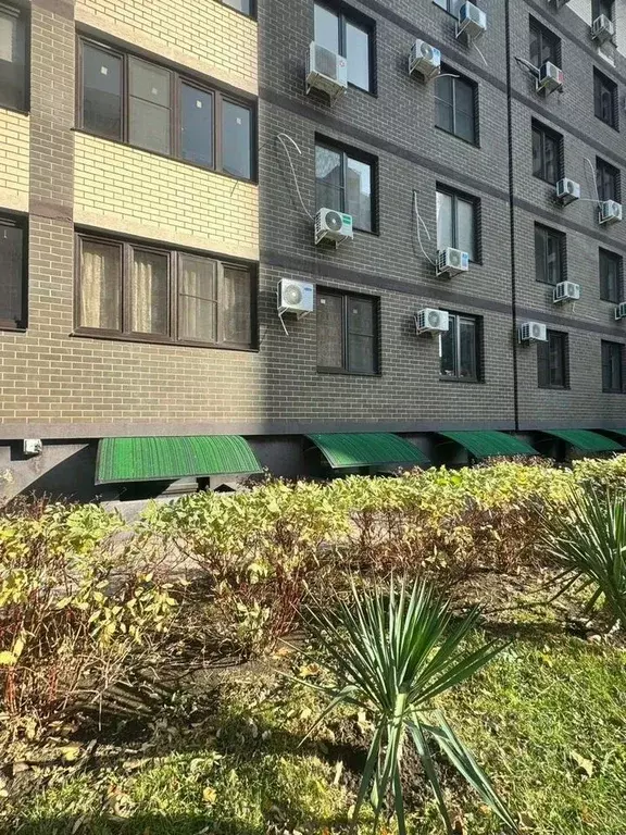 Помещение свободного назначения в Краснодарский край, Анапа ... - Фото 1