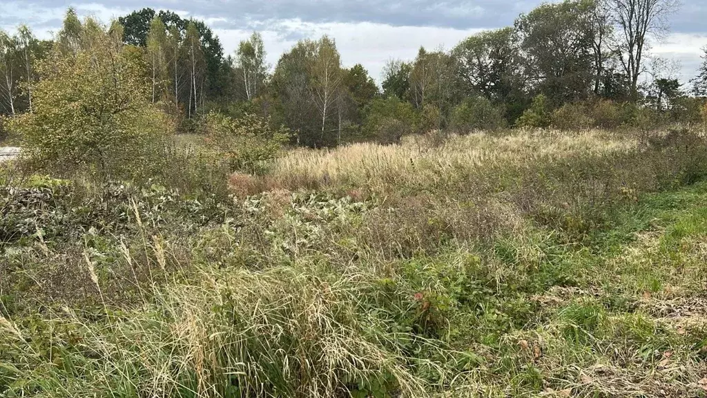Участок в Московская область, Ступино городской округ, д. Зыбино  ... - Фото 2