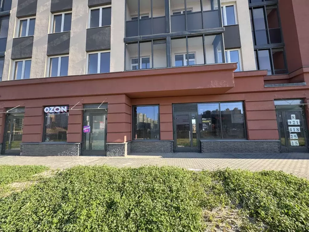 Помещение свободного назначения в Ленинградская область, Мурино ... - Фото 2