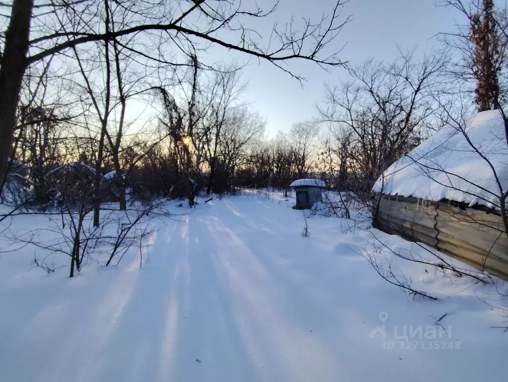 Дом в Воронежская область, Эртильский район, с. Щучинские Пески ... - Фото 1