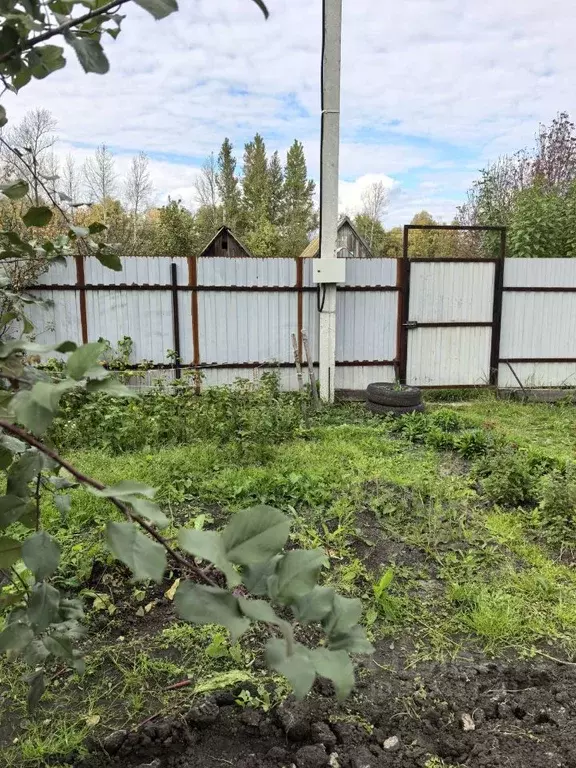 Участок в Омская область, Омск Испытатель СНТ, аллея 1-я (3.5 сот.) - Фото 2