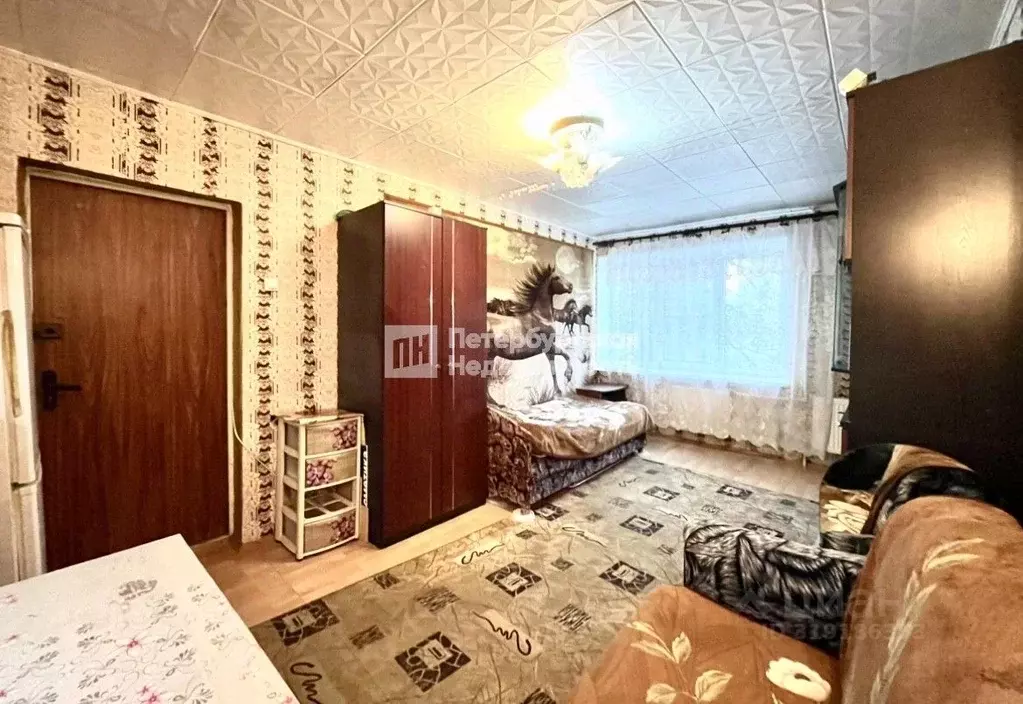 Комната Санкт-Петербург ул. Ушинского, 3К2 (17.8 м) - Фото 0