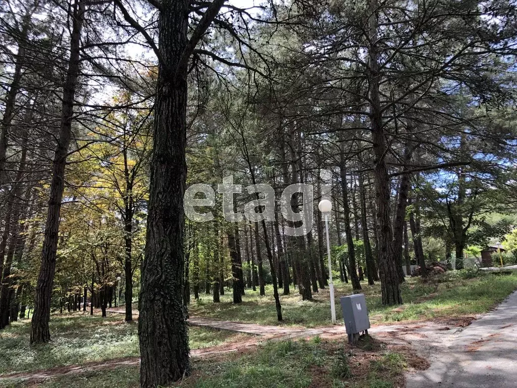 Участок в Краснодарский край, Геленджик  (14.01 сот.) - Фото 0