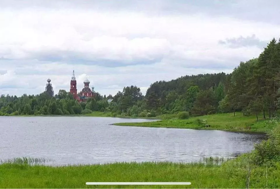 Участок в Тверская область, Пеновский муниципальный округ, д. Синцово  ... - Фото 1