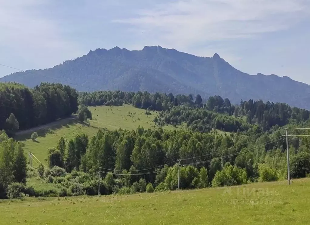 Участок в Алтай, Турочакский район, с. Турочак  (15.0 сот.) - Фото 1