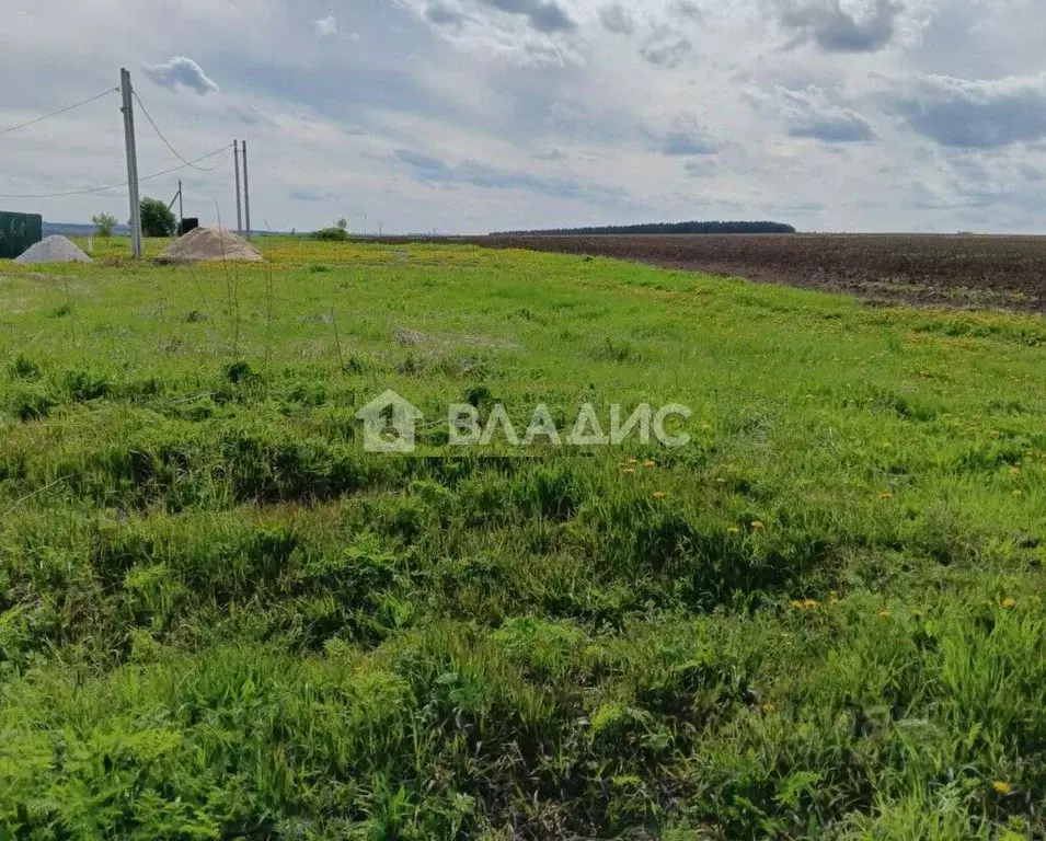 Участок в Владимирская область, Суздальский район, Павловское ... - Фото 0