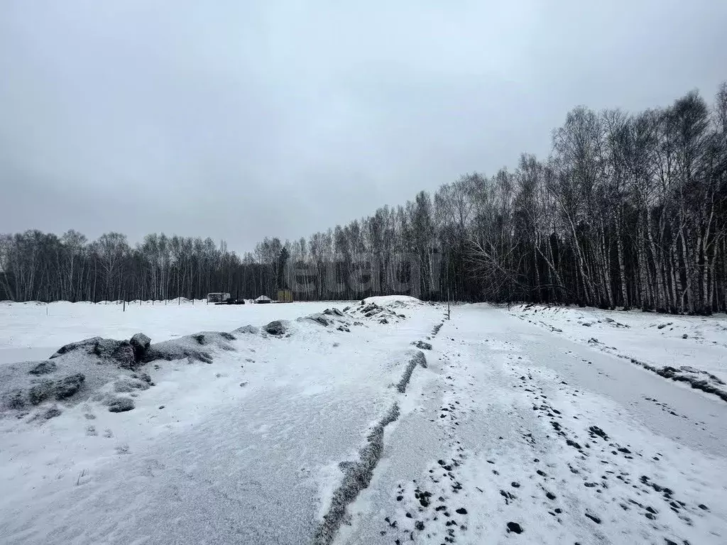 Участок в Тюменская область, Тюменский муниципальный округ, д. Елань ... - Фото 1