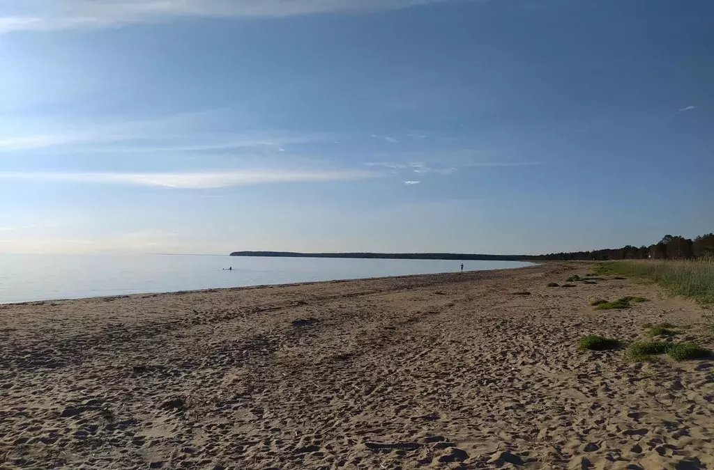 Участок в Архангельская область, Онежский муниципальный округ, ... - Фото 1