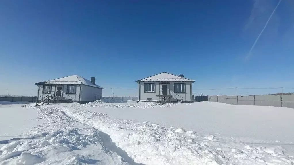 Дом в Пензенская область, с. Бессоновка ул. Родниковая (159 м) - Фото 1