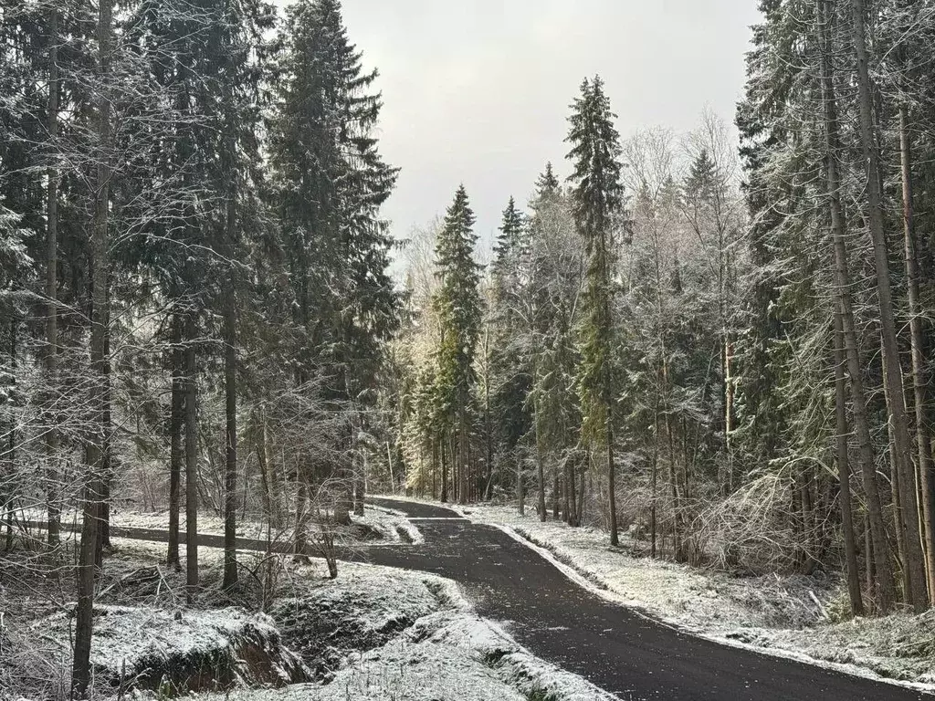 Участок в Московская область, Дмитровский муниципальный округ, пос. ... - Фото 0