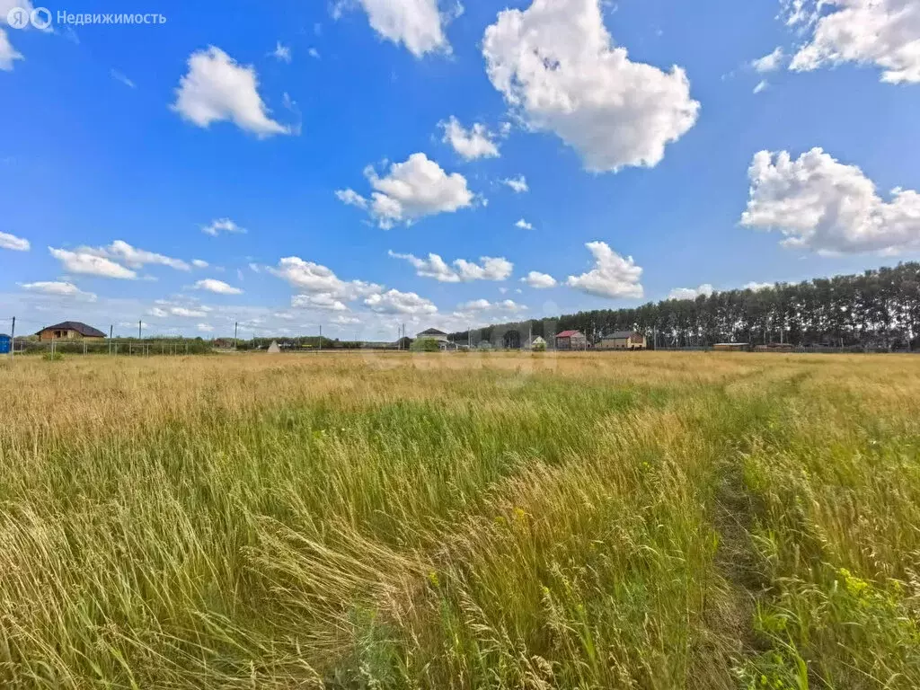 Участок в Омский район, село Усть-Заостровка (10.44 м) - Фото 0